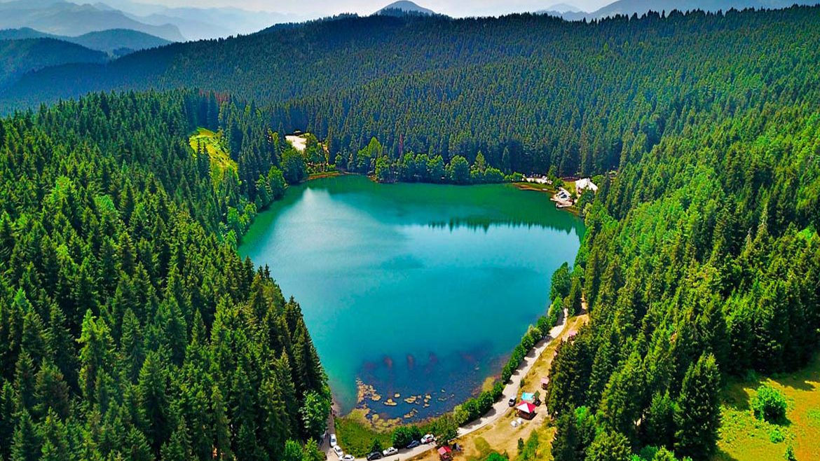 Artvin Vize Danışmanlığı Pasaport İşlemleri Tercüme Merkezi